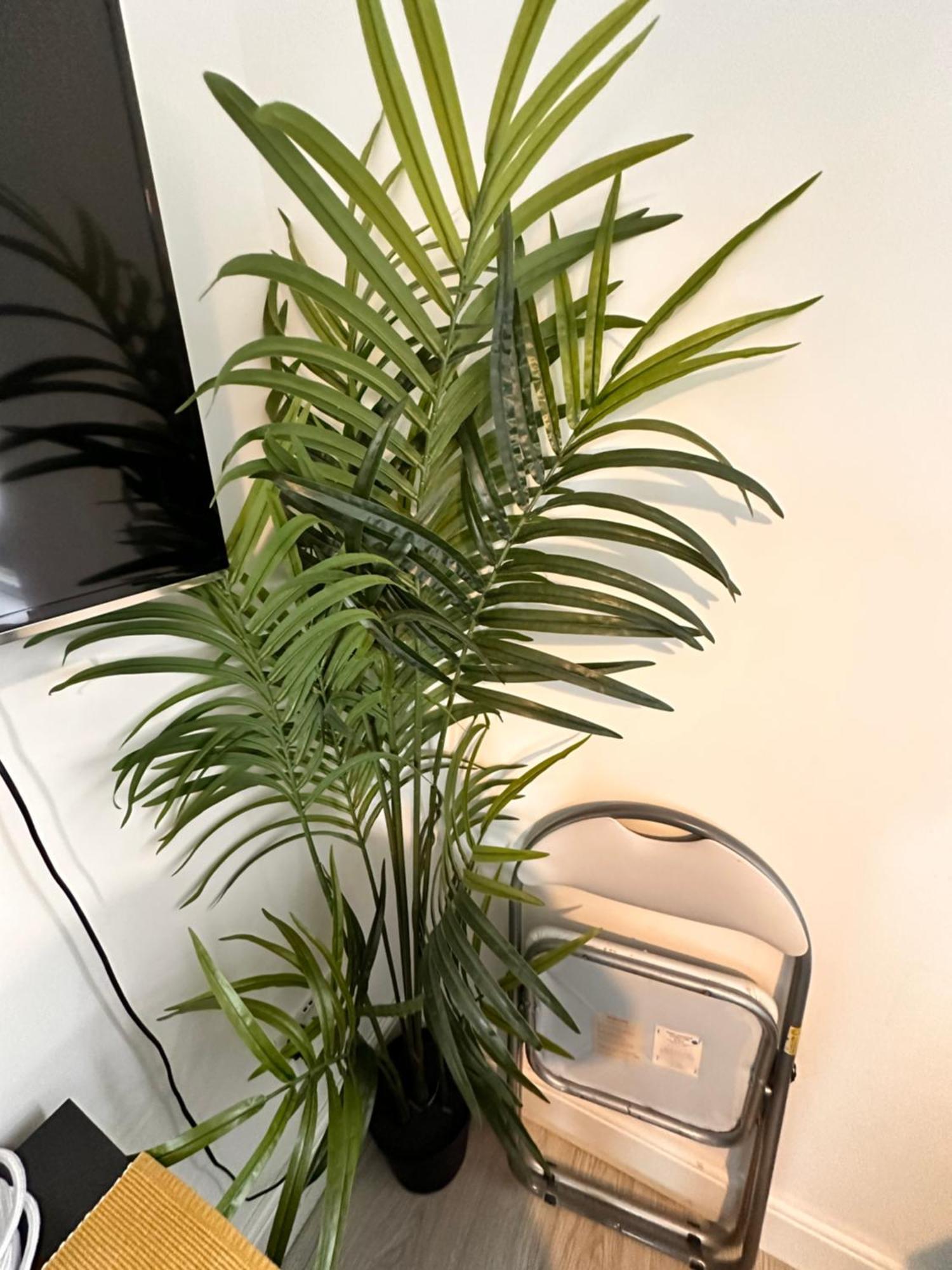 Lovely Self Contained Studio Now Available 런던 외부 사진